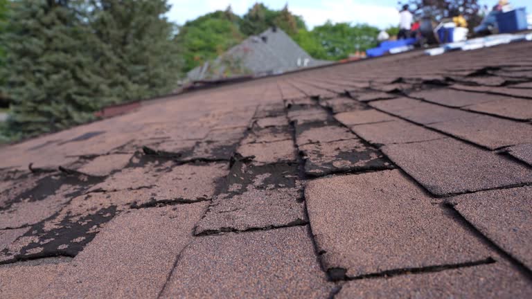 Best Cold Roofs  in Rolling Hills, CA